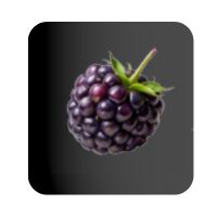 Blackberry