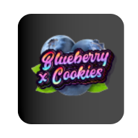 Blueberry Cookies